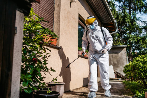 Wasp Removal Services in Rockingham, NC