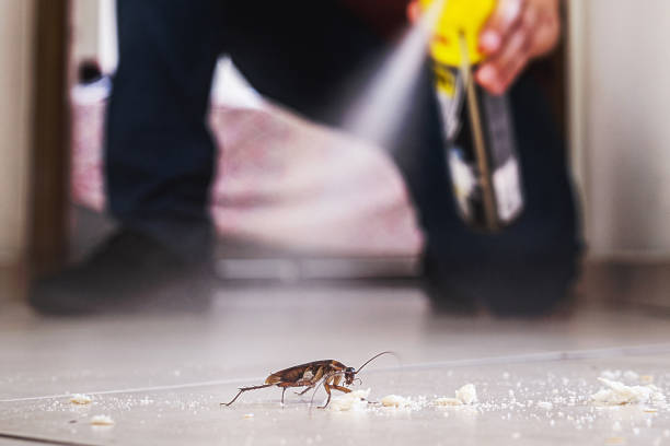 Pest Control for Restaurants in Rockingham, NC